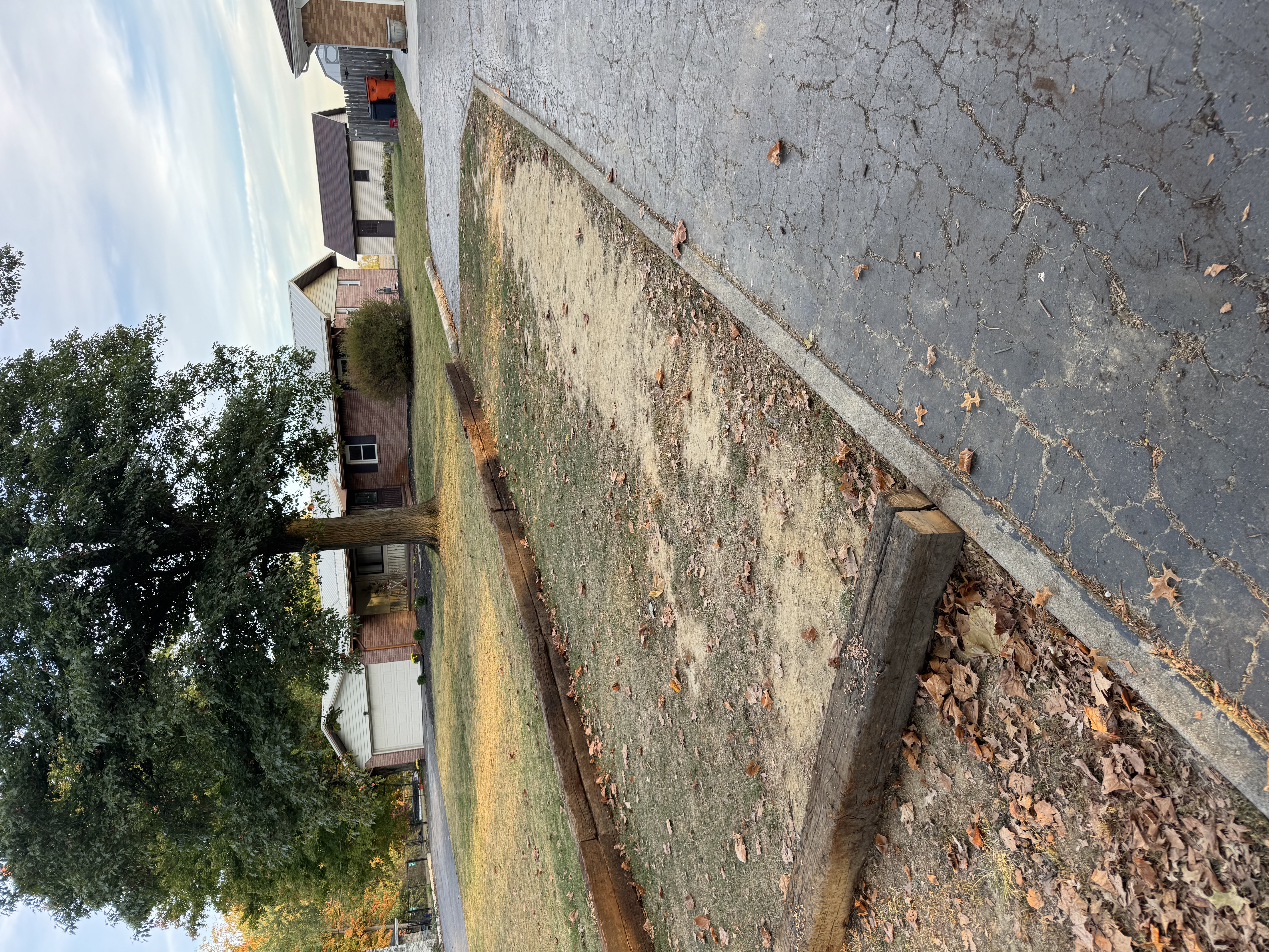 Driveway Repair 2 - Before