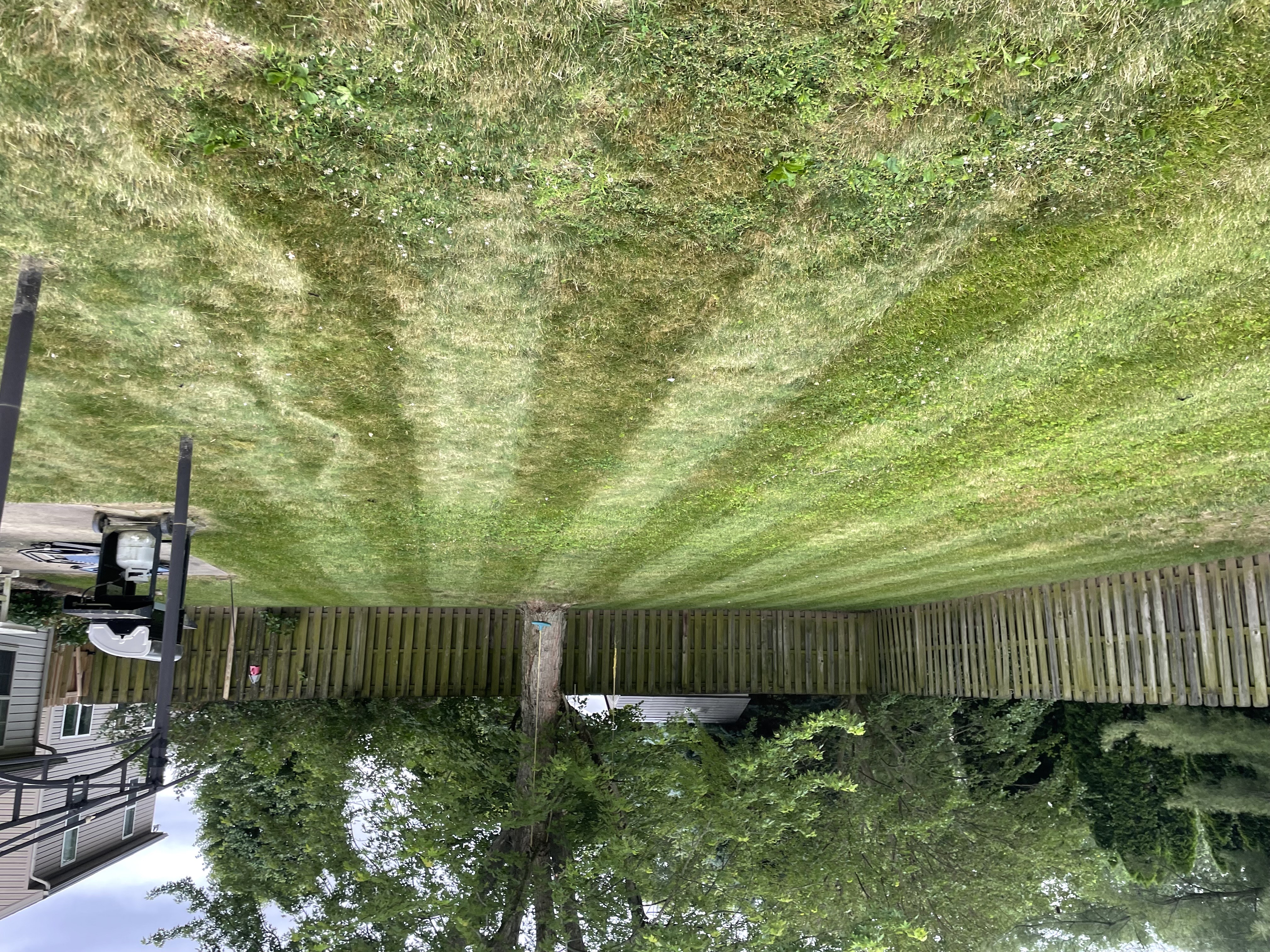 Residential Lawn Care 6